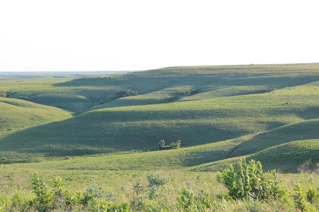Clover Cliff Ranch Bed And Breakfast Elmdale Exteriör bild